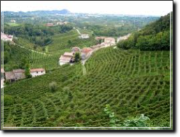 zona di valdobbiadene